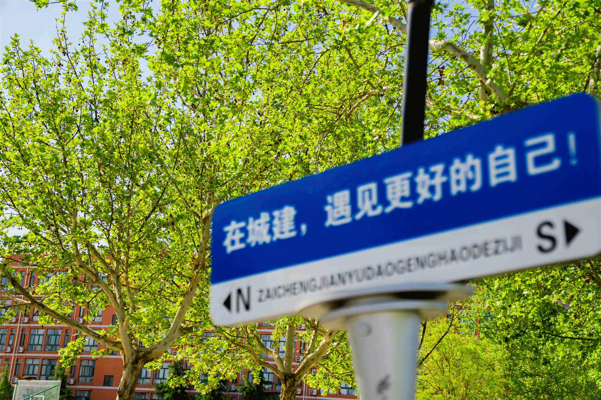 以綠色發(fā)展理念 賦能育人創(chuàng)新——金葉科教集團教育事業(yè)兩校生態(tài)環(huán)境建設獲省級認可 以綠色發(fā)展理念 賦能育人創(chuàng)新——金葉科教集團教育事業(yè)兩校生態(tài)環(huán)境建設獲省級認可