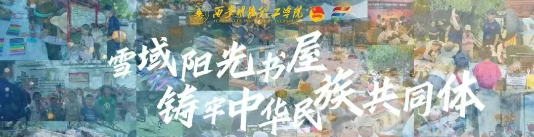 金葉集團 | 賦能青春實踐共繪雪域民族團結(jié)新圖景